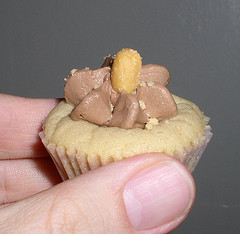 cupcake1.jpg